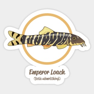 Emperor Loach Sticker